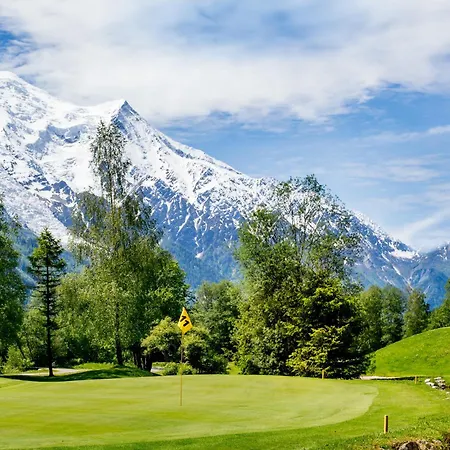 Lognan- New In The Center - By Cozee