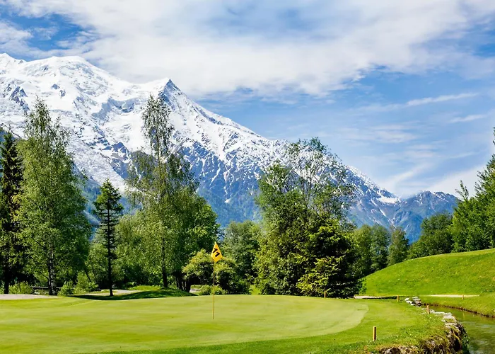 Lognan- New In The Center - By Cozee