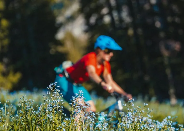 Apartment Lognan- New In The Center - By Cozee Chamonix