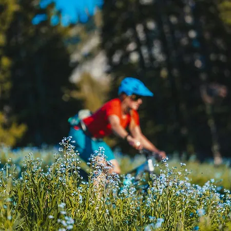 Appartamento Lognan- New In The Center - By Cozee Chamonix